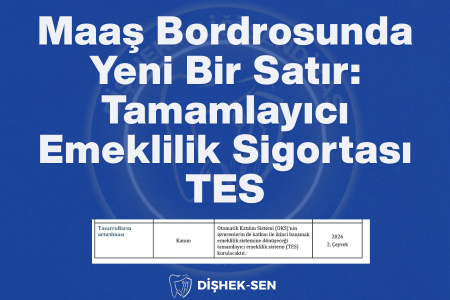 Emeklilik Sisteminde Yeni Bir Dönem: Tamamlayıcı Emeklilik Sistemi (TES)